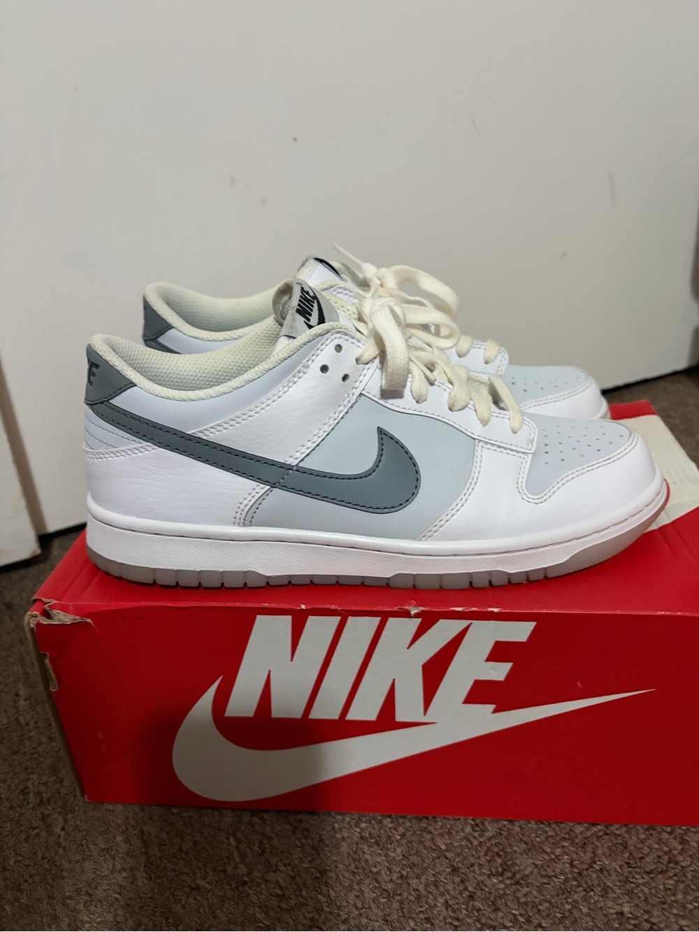 Nike Men’s Low-Top Sneakers in White and Gray
